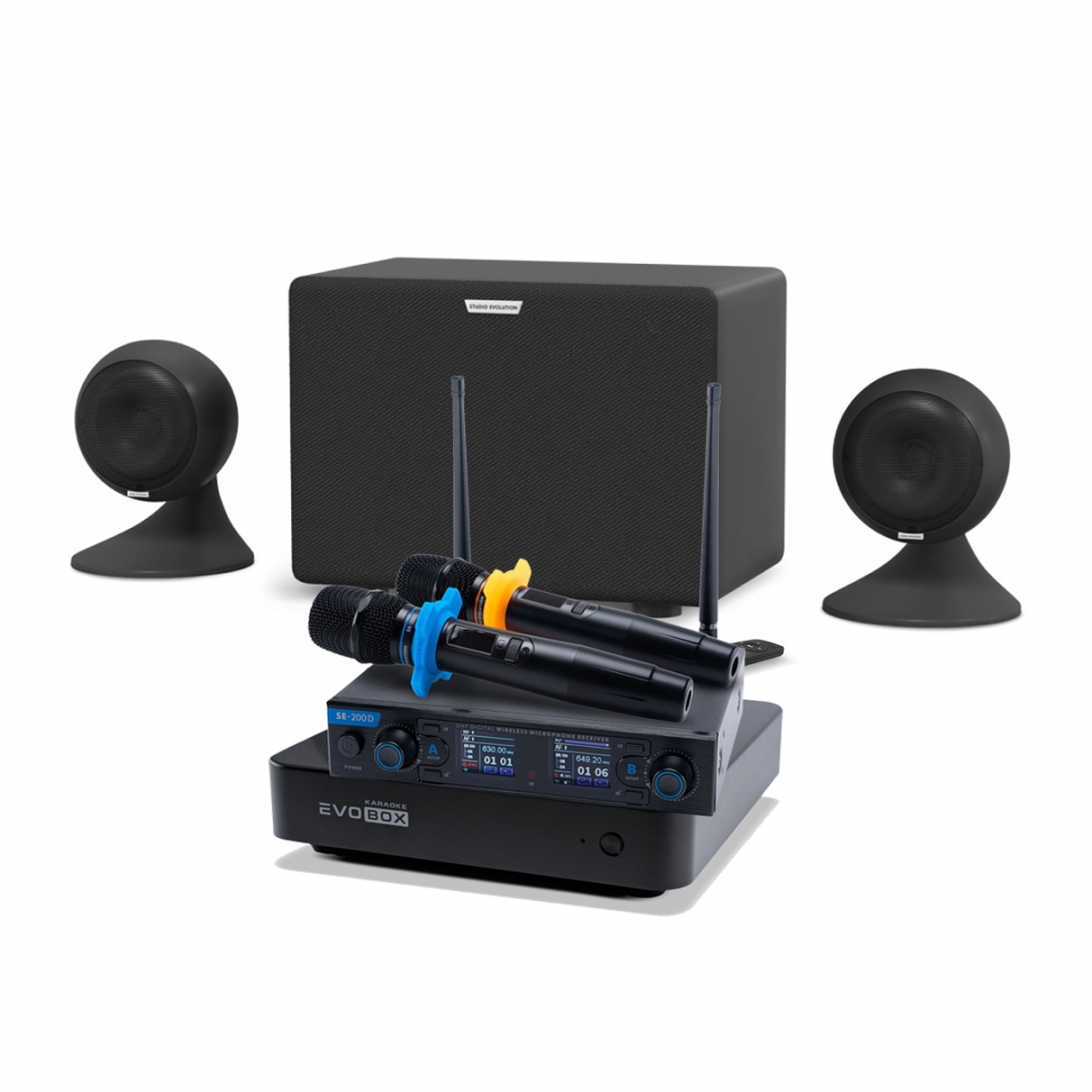 караоке-комплект EVOBOX + EvoSound Sphere 2.1 в Соль-Илецке