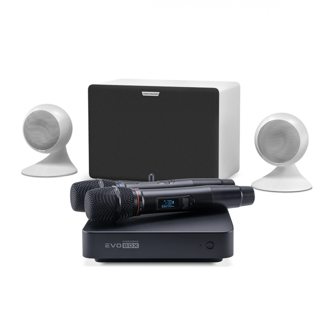 караоке-комплект EVOBOX Classic + EvoSound Sphere 2.1 в Соль-Илецке