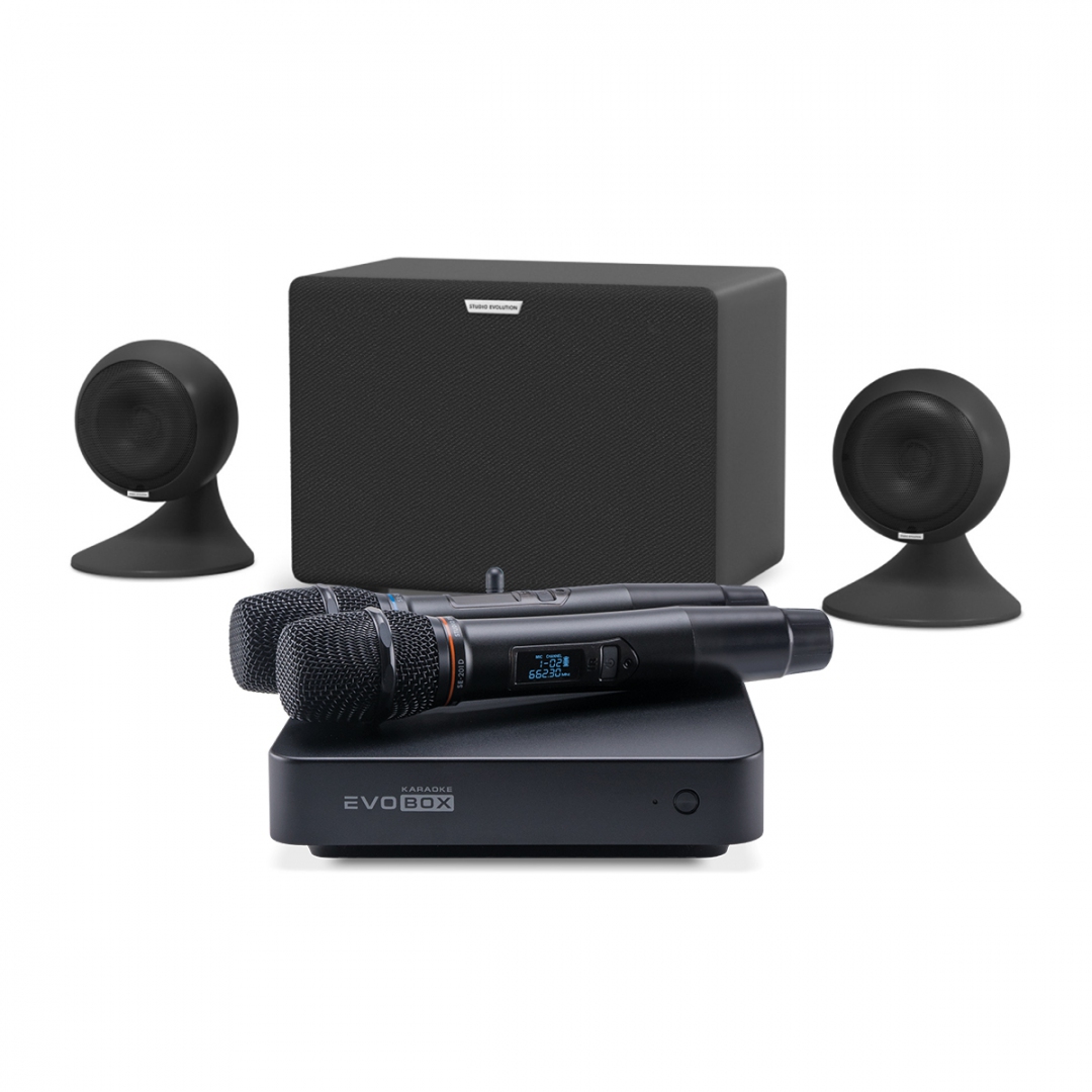караоке-комплект EVOBOX Plus + EvoSound Sphere 2.1 в Соль-Илецке