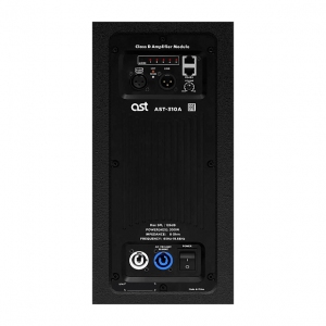 Активная акустическая система AST-310A в Соль-Илецке