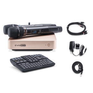 EVOBOX Classic караоке-система для дома в Соль-Илецке
