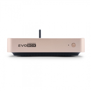 EVOBOX Plus караоке-система для дома в Соль-Илецке