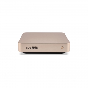 EVOBOX с микрофонами в Соль-Илецке